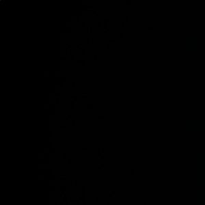 Meet your Posher, Lena